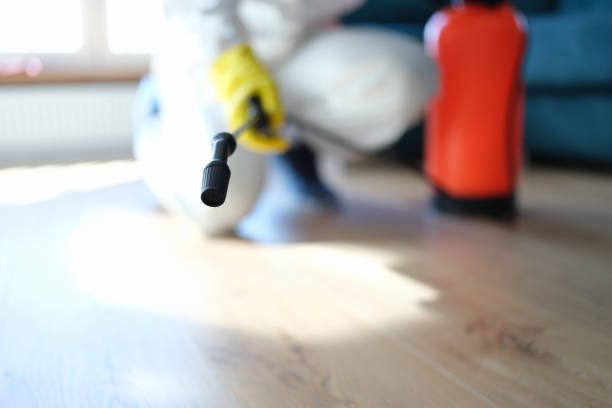 Biohazard Mold Removal in Dickson, OK