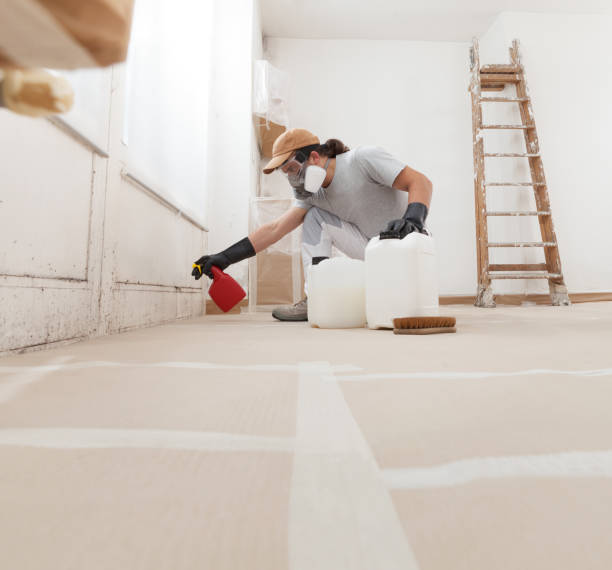 Trusted Dickson, OK Mold Removal Experts