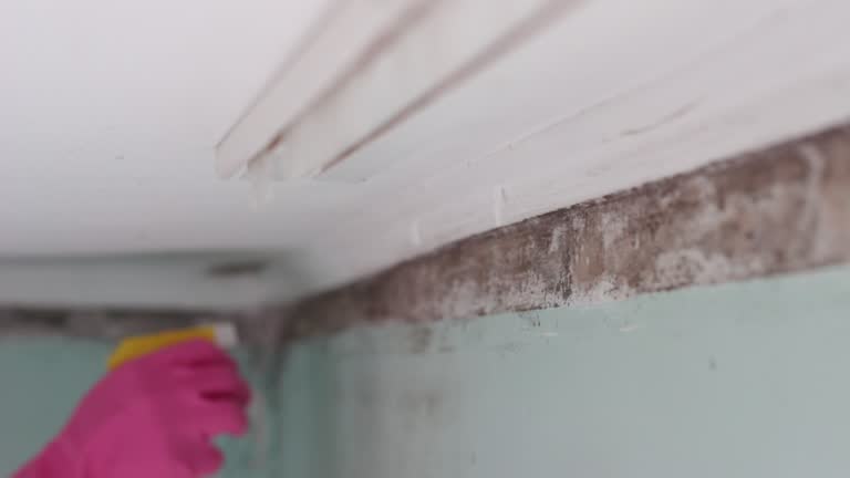 Best Residential Mold Inspection & Testing  in Dickson, OK